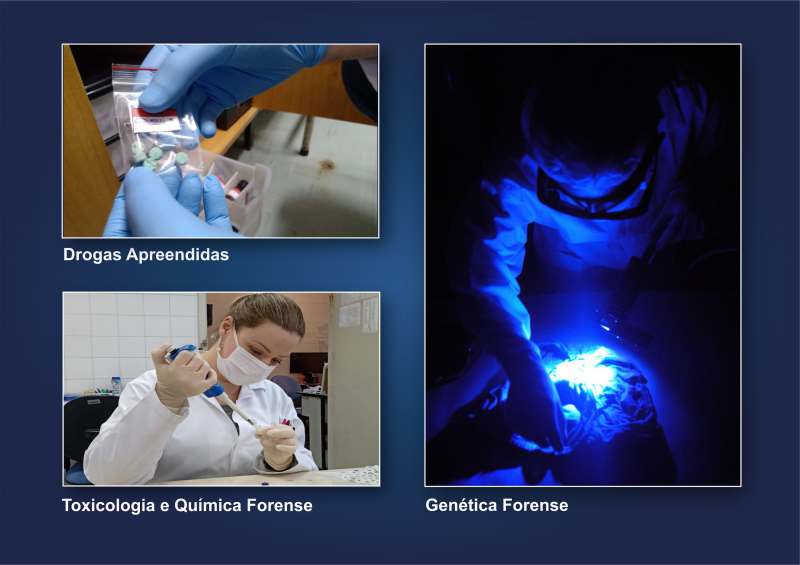 Toxicologia Forense e Analises Laboratoriais - NobrePlay