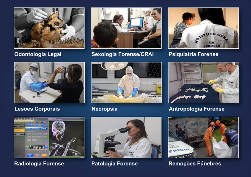 Instituto-Geral de Perícias / RS - 📲 Departamentos do IGP alteram telefones  de contato Os números dos telefones do Departamento Médico-Legal e do  Departamento de Perícias Laboratoriais do IGP em Porto Alegre